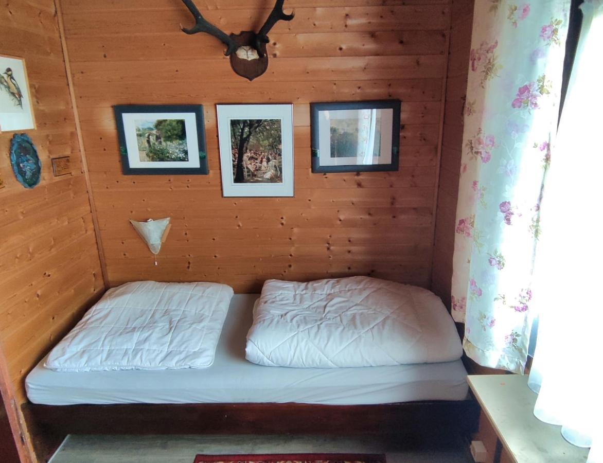 WiedaFerienblockhaus Harzidyllアパートメント エクステリア 写真